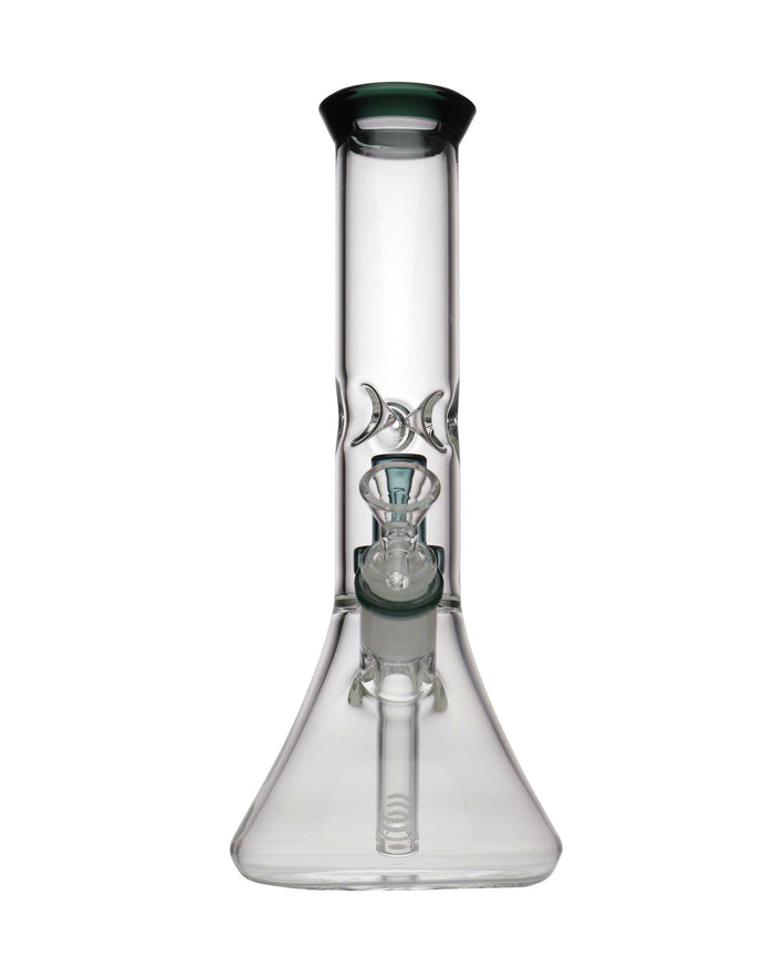 11” Showerhead Gem Perc Bong WorldofBongs