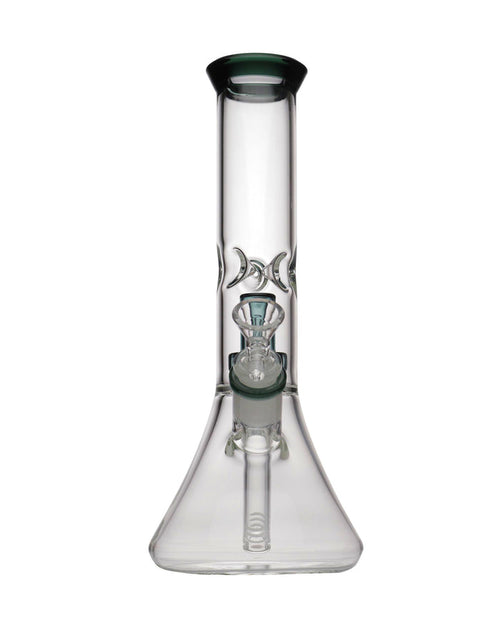 11” Showerhead Gem Perc Bong WorldofBongs