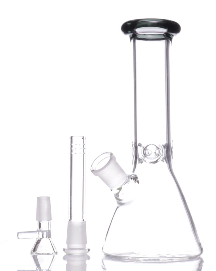 8'' Color Accented Beaker Bong WorldofBongs