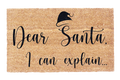 Dear Santa, I Can Explain..