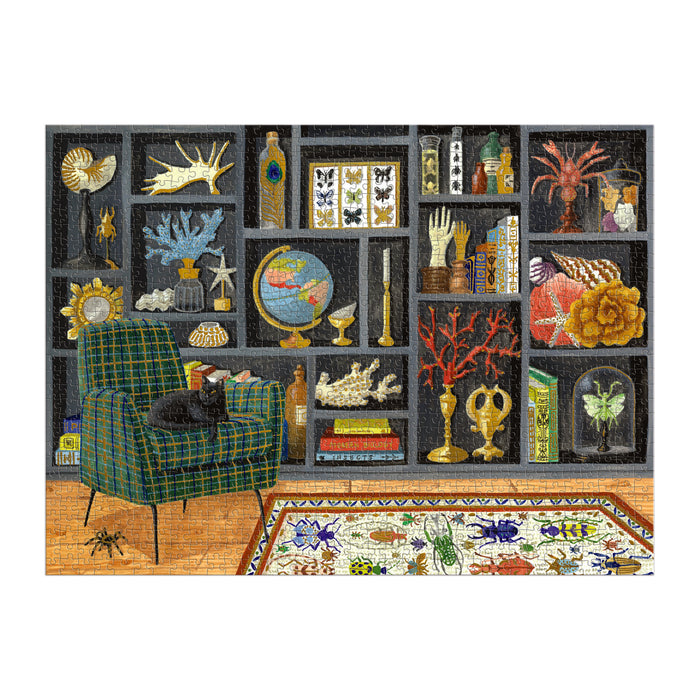 A bookshelf filled with globes, seashells, books, and curiosities stands behind a green plaid armchair with a black cat. A floral rug covers the floor—just like the Mélanie Voituriez Eclectic Treasures 1000 Piece Foil Puzzle.