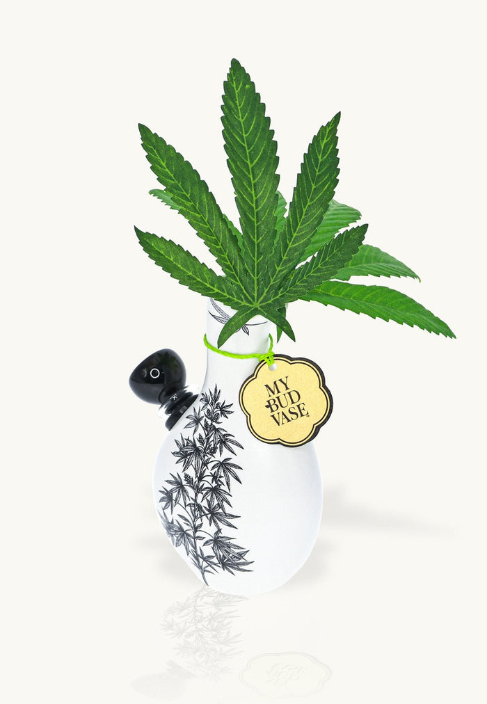 Love Bud Water Pipe - My Bud Vase My Bud Vase