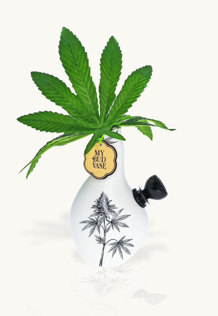 Love Bud Water Pipe - My Bud Vase My Bud Vase