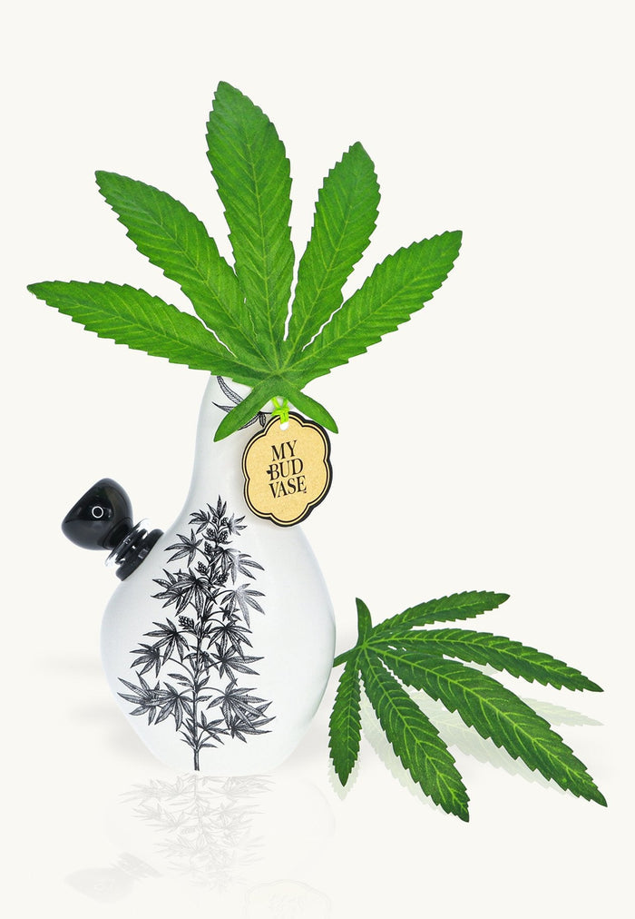 Love Bud Water Pipe - My Bud Vase My Bud Vase