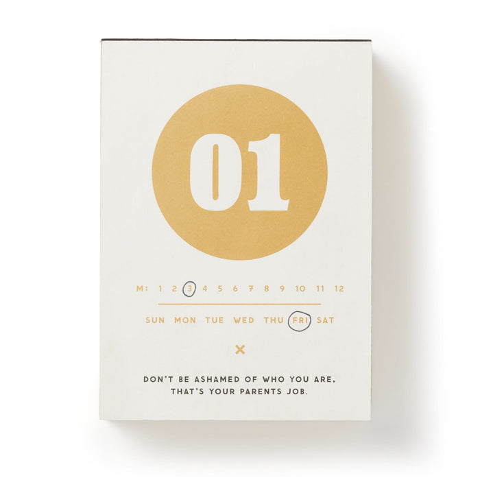 Make My Day Undated Desk Calendar Undated Standard Planner Brass Monkey
