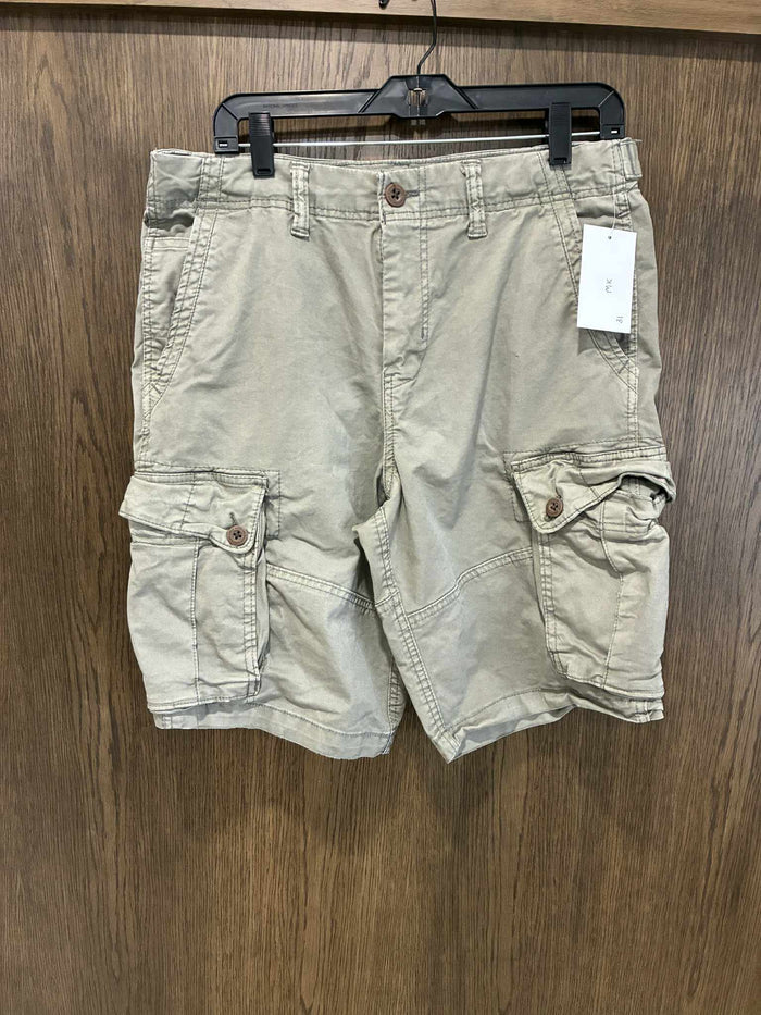 Men's American Eagle Cargo Shorts ~ Size 31