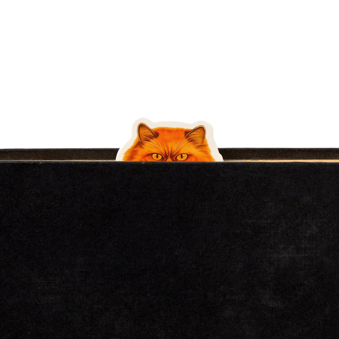 A black book features a Brass Monkey Moody Cats Magnetic Bookmark peeking over the top, with only the cat’s orange ears and eyes visible.