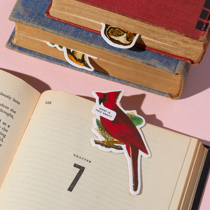 The Salty Birds Magnetic Bookmark Set by Brass Monkey features a red cardinal-shaped bookmark with a “What is this stuff?” speech bubble, sitting in an open book as bird-shaped bookmarks peek from two nearby closed books on a pale pink surface.
