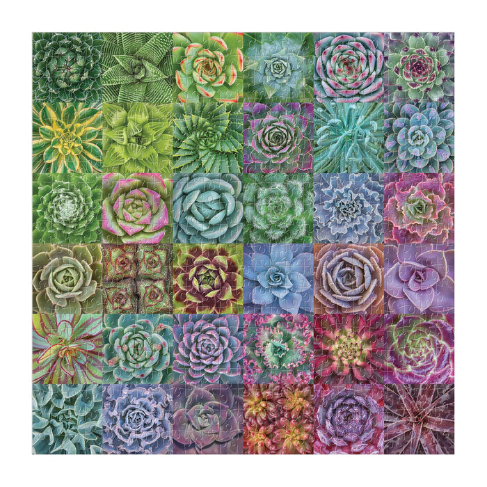 Succulent Spectrum 500 Piece Puzzle 500 Piece Puzzles Galison
