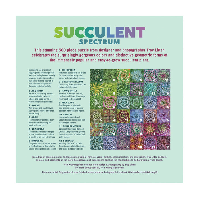 Succulent Spectrum 500 Piece Puzzle 500 Piece Puzzles Galison