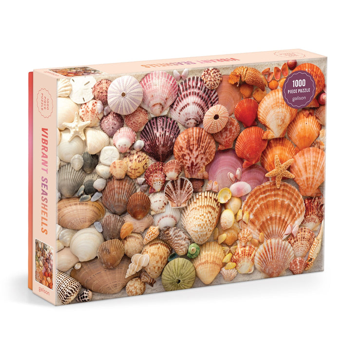 Vibrant Seashells 1000 Piece Puzzle 1000 Piece Puzzles Christine Chitnis